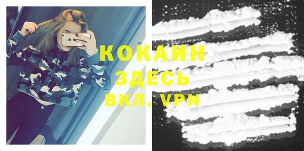 a pvp Алзамай