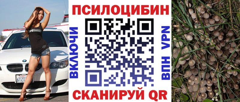 как найти закладки  Хадыженск  Псилоцибиновые грибы ЛСД 